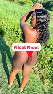 New grils available now - 25 - Photo 2 of 2