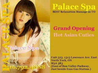 Grand Opening! Best Vietnamese Korean Chinese Attendants! - Photo 11 of 12