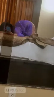 Sneak Away Today JUiCY PuSSy BiG Booty Freak - Photo 5 of 9